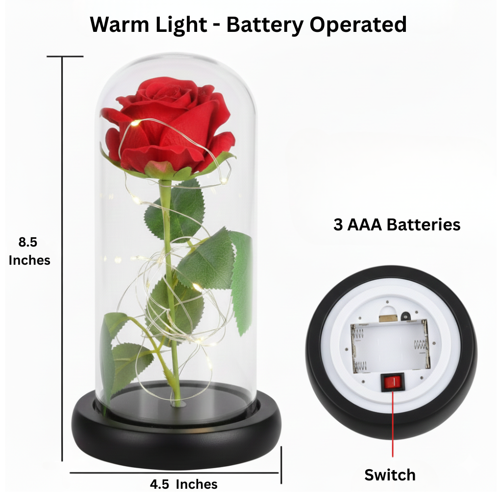 The Most Special Gift🌹Forever Glow Rose✨️